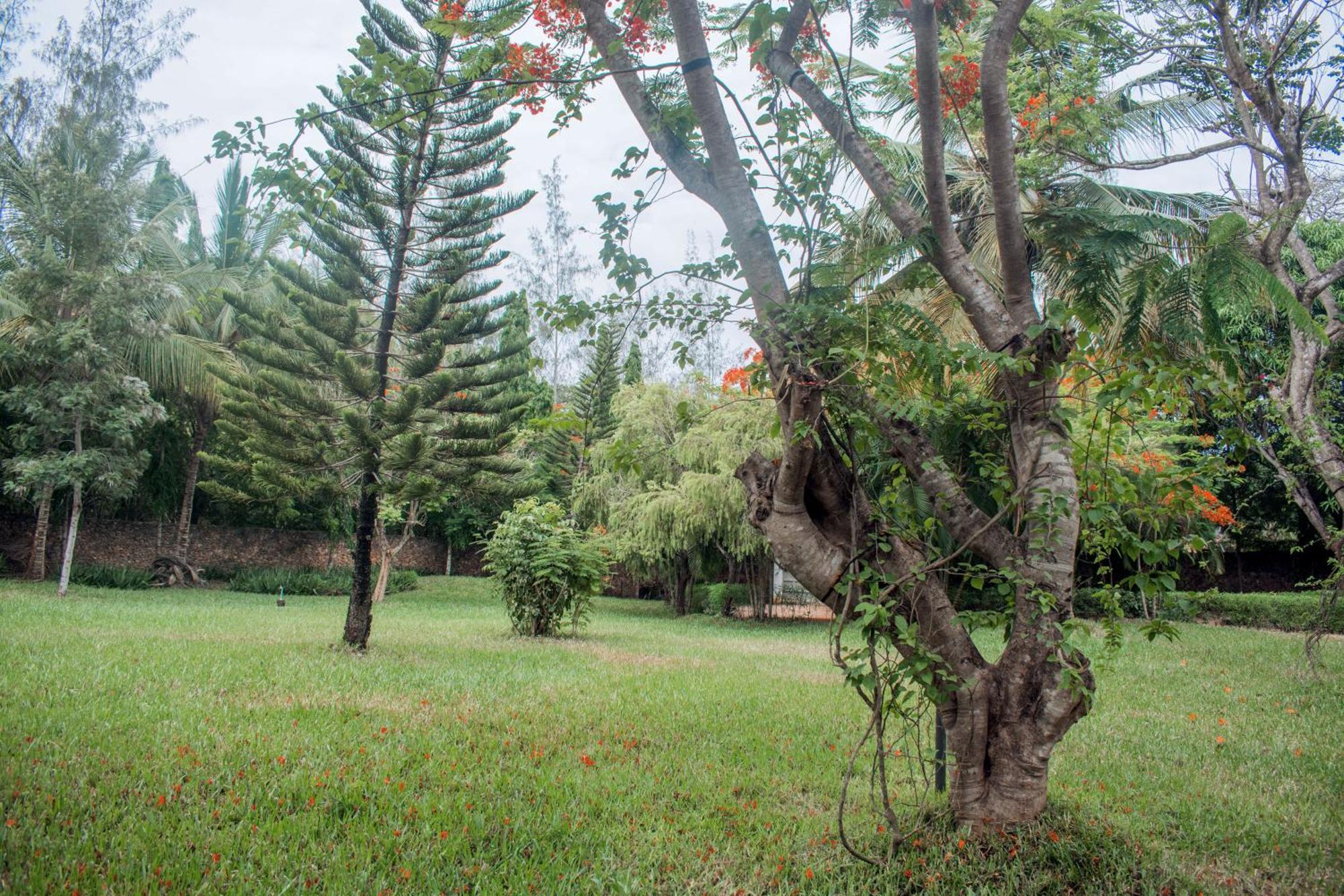 Kijani Cottages In Diani Диани-Бич Экстерьер фото