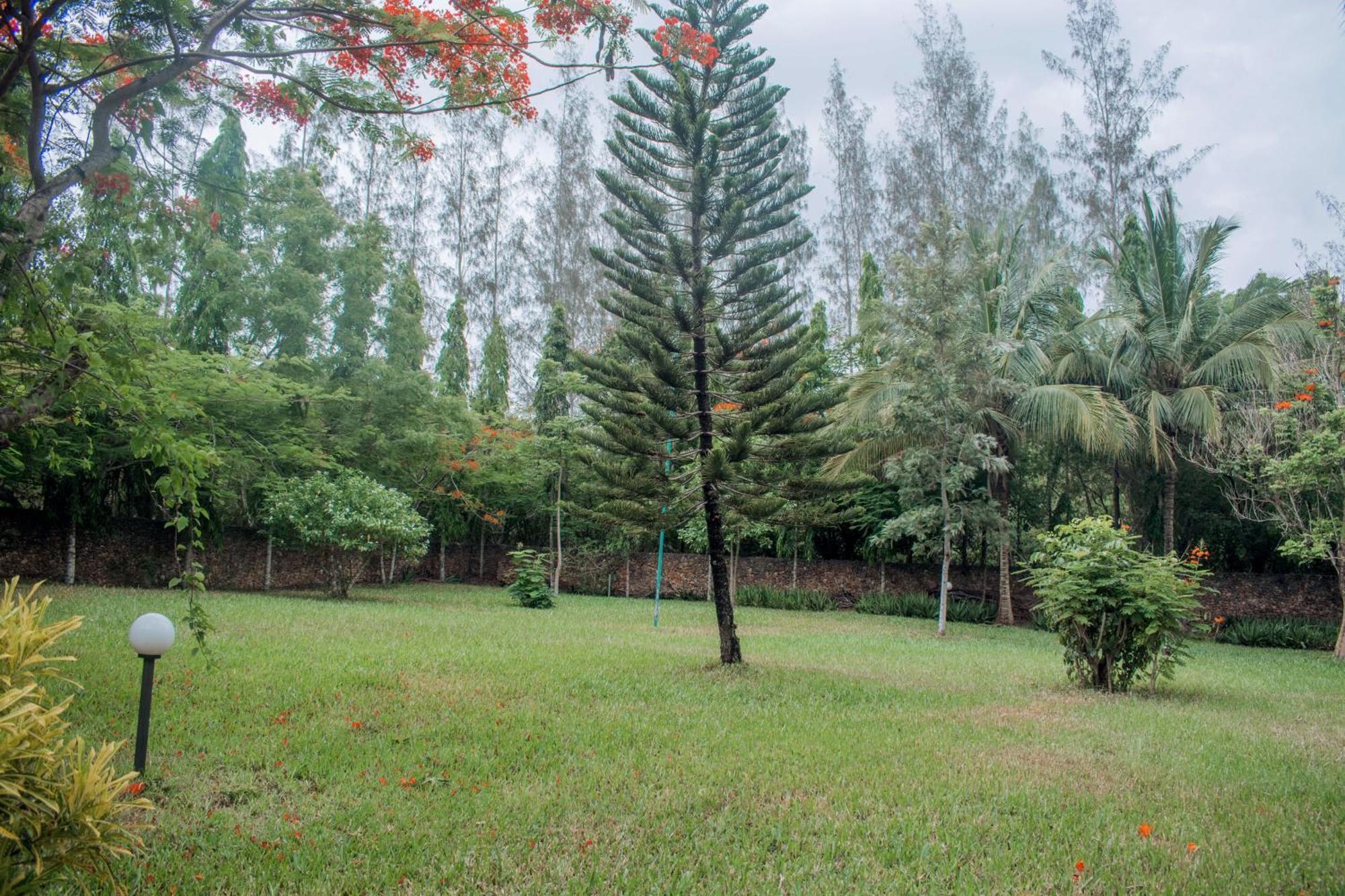 Kijani Cottages In Diani Диани-Бич Экстерьер фото